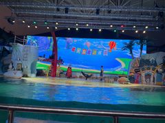 -三亚海昌梦幻海洋不夜城