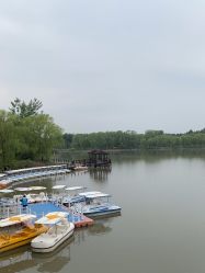 -汉石桥湿地童趣乐园