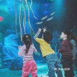 宝宝假期打卡充满幻想的乐园
