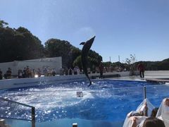 -西海国立公园九十九岛水族馆