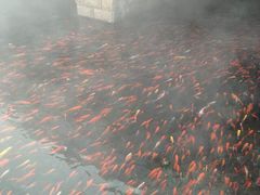 -水磨沟公园
