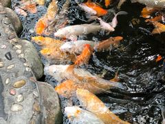 -上海大自然野生昆虫馆(东方明珠·爬宠昆虫探索中心)