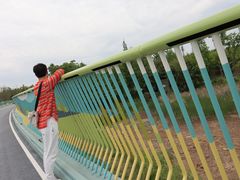 -白鹭湾湿地公园