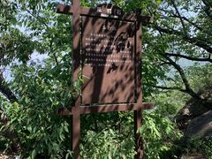 -阳台山自然风景区