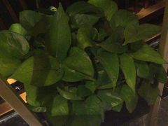 -燕郊烧鸽子(酷车小镇店)