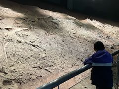 -世界恐龙谷景区