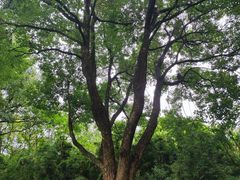 -宜兴龙背山森林公园