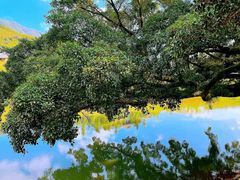 -云水谣景区