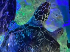 -福州罗源湾海洋世界旅游区