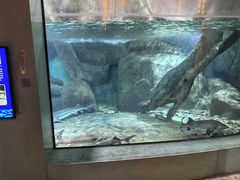 -福州罗源湾海洋世界旅游区