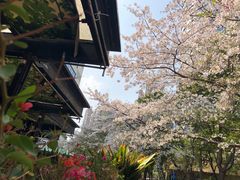 -玛格萝妮比萨屋(四平店)