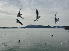 -无锡蠡湖国家湿地公园-蠡园