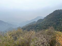 -大岭沟猕猴桃谷风景区