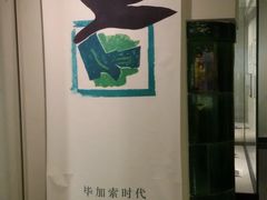 -北京大学赛克勒考古与艺术博物馆