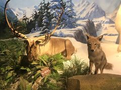 -陕西自然博物馆