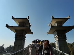 -东湖落雁景区