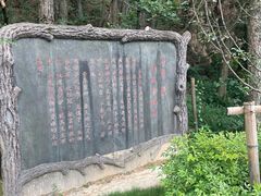 -妙道山国家森林公园