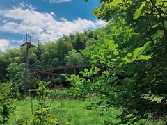 -宁波浙东大竹海景区