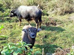 -樱桃山旅游景区