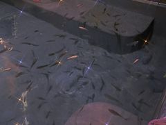 -凤翔首邑温泉度假村