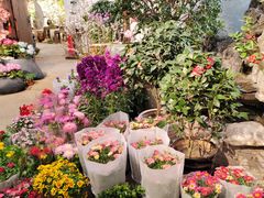 -双季花艺园艺市场(浦东店)