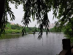 -重庆彩云湖湿地公园