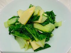 -西郊5号·Maggie 5