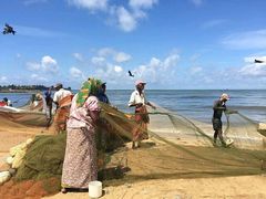 -尼甘布海鲜市场