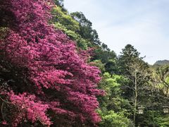 -龙湾潭国家森林公园