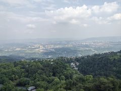 -南山植物园