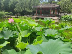 -宣武艺园