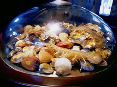 蒸海鲜-睿柏云酒店-餐厅