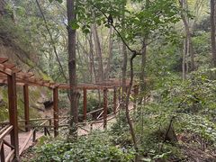 -大岭沟猕猴桃谷风景区