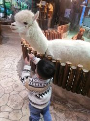 -宝燕乐园(闵行旗舰店)