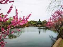 -无锡蠡湖国家湿地公园-蠡园