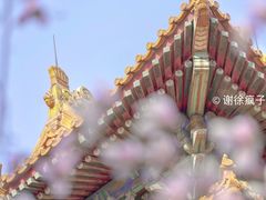 -东华门大街小区
