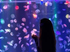 -海合安成都极地海洋公园