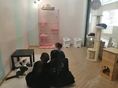 -酷豆宠物咖啡·宠物美食·撸猫馆