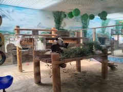 -西霞口神雕山野生动物世界