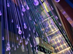 -雪熊精酿·哈尔滨烧烤酒馆(非遗大串店)