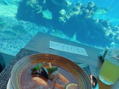 -海棠湾洲际-涛·海底餐厅·美人鱼·自助餐·海底隧道