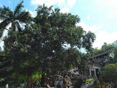 -国恩寺