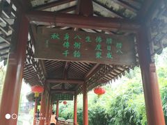 -定园