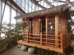 -上海中心大厦