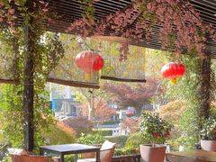 -荷风细雨·中国茶宴(碧云店)