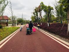 -九龙湖公园