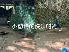 -草根堂农场