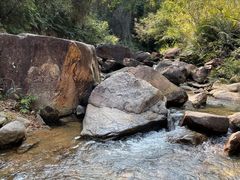 -广州白江湖森林公园