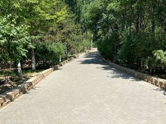 -大兴滨河森林公园