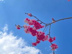 -大理洱海